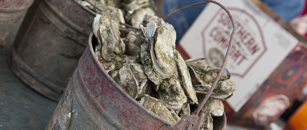 Feast at Fall Seafood and Oyster Festivals in NC